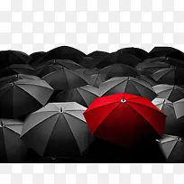 ������ɡͼƬ-������