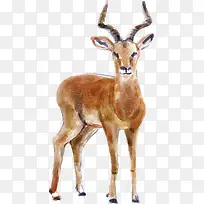 ��ͨɽ��װ��ͼ��-������