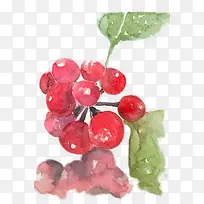 红色水彩画山楂果-空若网 红色水彩画山楂果-空若网
