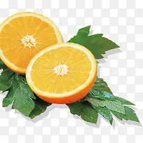美味水果橙子-空若网 美味水果橙子-空若网