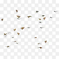 �������ĺ���-������