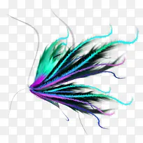 彩色翅磅侧面-空若网 彩色翅磅侧面-空若网