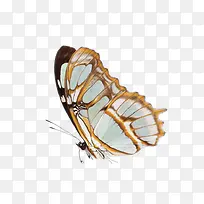 �����ĺ�������-������