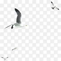 ��Ÿ-������