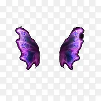 紫色翅膀-空若网 紫色翅膀-空若网