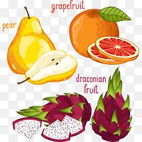 矢量梨子与火龙果-空若网 矢量梨子与火龙果-空若网