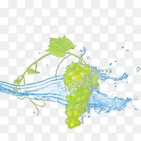 水中水果-空若网 水中水果-空若网