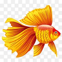 �ֻ����-������