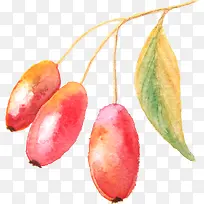 Ë®²Ê»Ò¶×Ó-¿ÕÈôÍø Ë®²Ê»Ò¶×Ó-¿ÕÈôÍø