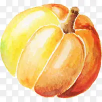 水彩画南瓜-空若网 水彩画南瓜-空若网
