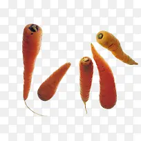 �������ʳ��-������