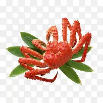 ��ɫϺз����ز��������-������