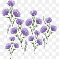 手绘水彩紫色花朵-空若网 手绘水彩紫色花朵-空若网