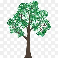 茂盛许愿树-空若网 茂盛许愿树-空若网