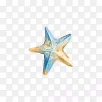 ¼ôÌù»±êÖ¾.Ë®²Ê»º£ÐÇ-¿ÕÈôÍø ¼ôÌù»±êÖ¾.Ë®²Ê»º£ÐÇ-¿ÕÈôÍø