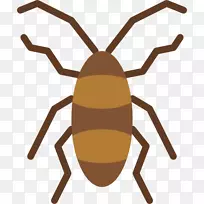 �绰�е��������������-������