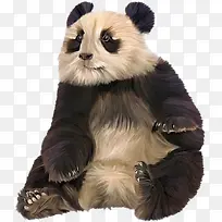 �ɰ��Ĵ���è-������