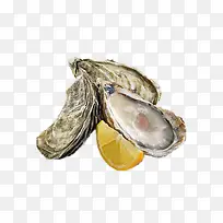 冰岛新鲜活冻生蚝-空若网 冰岛新鲜活冻生蚝-空若网