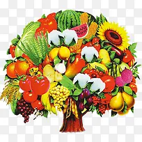 水果树-空若网 水果树-空若网