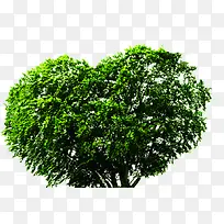 绿色爱心造型大树美景-空若网 绿色爱心造型大树美景-空若网
