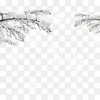 积满雪的树枝雪花-空若网 积满雪的树枝雪花-空若网