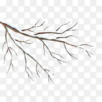 ����Ŀ���֦-������