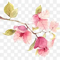 卡通手绘粉色杜鹃花-空若网 卡通手绘粉色杜鹃花-空若网