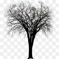 ��֦�������꼪���ز�-������