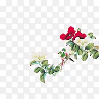 ĵ��ˮ�ʻ�װ��-������