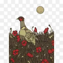 矢量野鸡-空若网 矢量野鸡-空若网