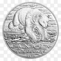 ���ô󱱼�������-������