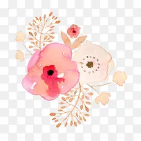 С�����ֻ� ˮ�ʻ���-������