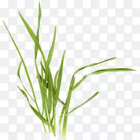 ����������-������