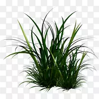 Ö²Îï×ÀÃæ±ÚÖ½¼ÐÒÕÊõ-¿ÕÈôÍø Ö²Îï×ÀÃæ±ÚÖ½¼ÐÒÕÊõ-¿ÕÈôÍø