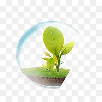 创意小树苗-空若网 创意小树苗-空若网