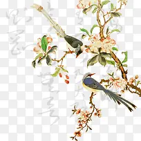 ϲ��֦ͷ-������