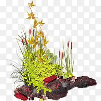 河边小草植物装饰图案-空若网 河边小草植物装饰图案-空若网