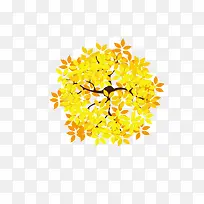 ���ӽ�Ƶ���Ҷ-������