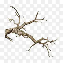 ��֦-������