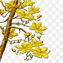 花枝-空若网 花枝-空若网