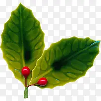 圣诞节树叶装饰素材-空若网 圣诞节树叶装饰素材-空若网