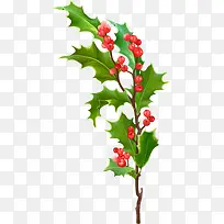 ʸ��ʥ����Ҷ-������