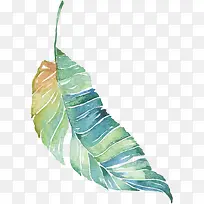 ��ɫ��Ҷ-������