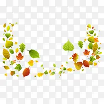 彩色的树叶-空若网 彩色的树叶-空若网