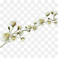 ��÷��֦-������