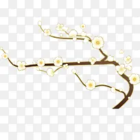 白色花朵-空若网 白色花朵-空若网