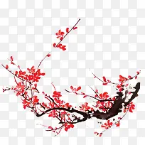 腊梅-空若网 腊梅-空若网