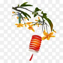 Ê÷Ö¦ÉϵĵÆÁýͼ°¸-¿ÕÈôÍø Ê÷Ö¦ÉϵĵÆÁýͼ°¸-¿ÕÈôÍø