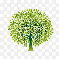 茂盛的树-空若网 茂盛的树-空若网