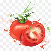 有机食品水彩画蔬菜水彩画-空若网 有机食品水彩画蔬菜水彩画-空若网